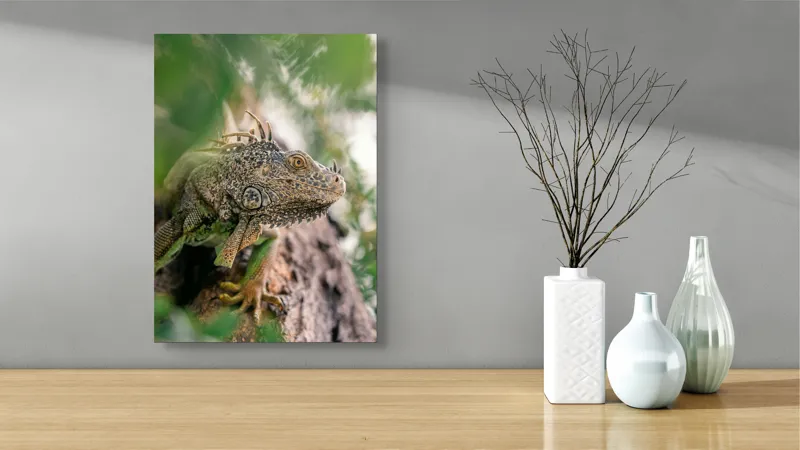 Tablou Canvas, "Iguana printre frunze și crengi", Verde, Reptilă, Trunchi, Textură, Frunziș, Detalii, Natură, Primate, Culoare, Explorare, 39 x 54 cm – poza 4