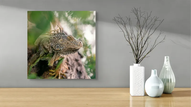 Tablou Canvas, "Iguana printre frunze și crengi", Verde, Reptilă, Trunchi, Textură, Frunziș, Detalii, Natură, Primate, Culoare, Explorare, 50 x 50 cm – poza 3