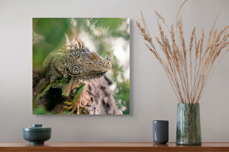 Tablou Canvas, "Iguana printre frunze și crengi", Verde, Reptilă, Trunchi, Textură, Frunziș, Detalii, Natură, Primate, Culoare, Explorare, 50 x 50 cm – poza 4