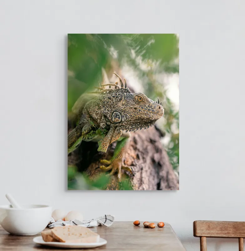 Tablou Canvas, "Iguana printre frunze și crengi", Verde, Reptilă, Trunchi, Textură, Frunziș, Detalii, Natură, Primate, Culoare, Explorare, 50 x 70 cm – poza 3