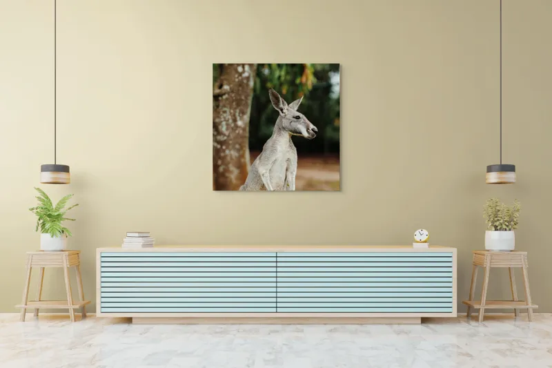 Tablou Canvas, "Cangurul la umbra copacului bătrân", 100 x 100 cm – poza 5