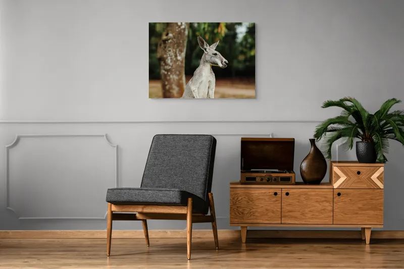 Tablou Canvas, "Cangurul la umbra copacului bătrân", 100 x 70 cm – poza 8