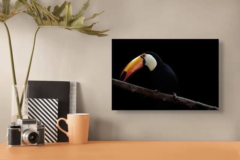 Tablou Canvas, "Tucanul pe creanga în întuneric profondă", Pasăre, Colorată, Cioc, Lung, Negru, Ramură, Fundal, Întuneric, 39 x 26 cm – poza 3