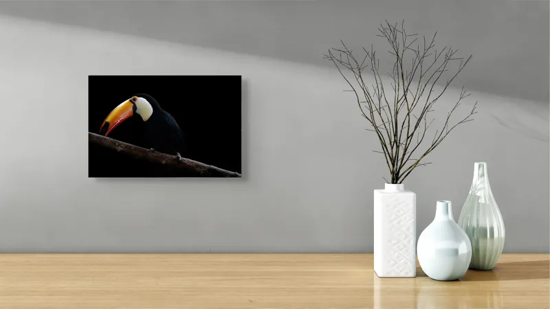 Tablou Canvas, "Tucanul pe creanga în întuneric profondă", Pasăre, Colorată, Cioc, Lung, Negru, Ramură, Fundal, Întuneric, 39 x 26 cm – poza 8