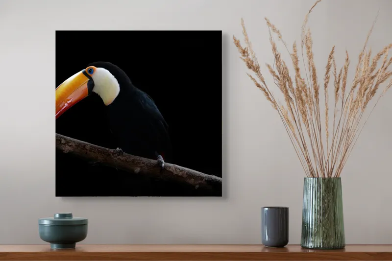 Tablou Canvas, "Tucanul pe creanga în întuneric profondă", Pasăre, Colorată, Cioc, Lung, Negru, Ramură, Fundal, Întuneric, 50 x 50 cm – poza 4