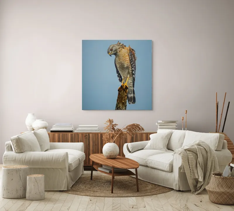 Tablou Canvas, "Pasărea de pradă solitară contemplă zarea", Pasăre, Prădător, Penaj, Cer, Vârf, Lemn, Gheare, Ochi, Observare, Natură, 100 x 100 cm – poza 3