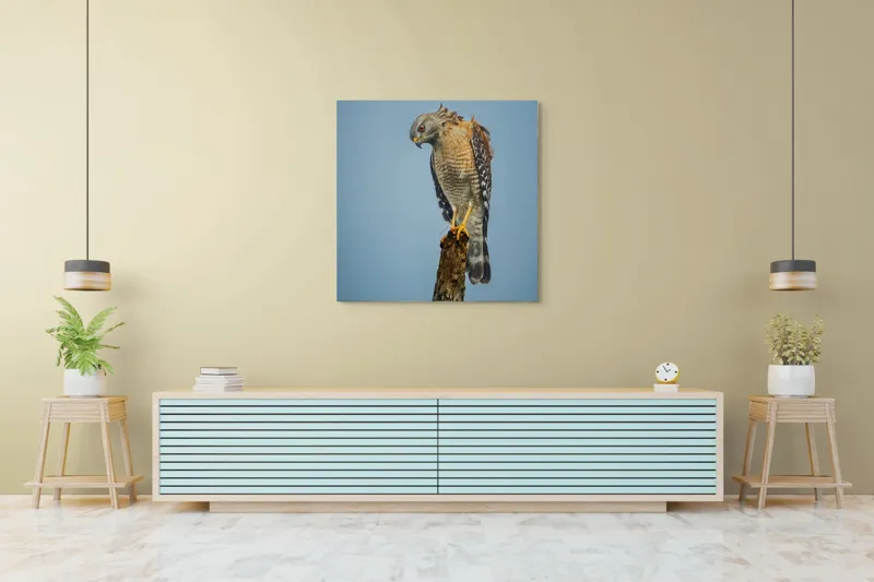 Tablou Canvas, "Pasărea de pradă solitară contemplă zarea", Pasăre, Prădător, Penaj, Cer, Vârf, Lemn, Gheare, Ochi, Observare, Natură, 100 x 100 cm – poza 5