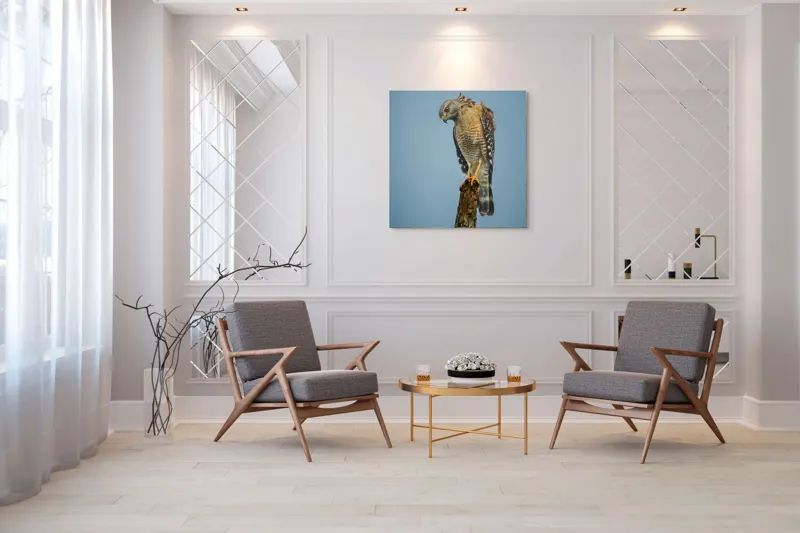 Tablou Canvas, "Pasărea de pradă solitară contemplă zarea", Pasăre, Prădător, Penaj, Cer, Vârf, Lemn, Gheare, Ochi, Observare, Natură, 100 x 100 cm – poza 7