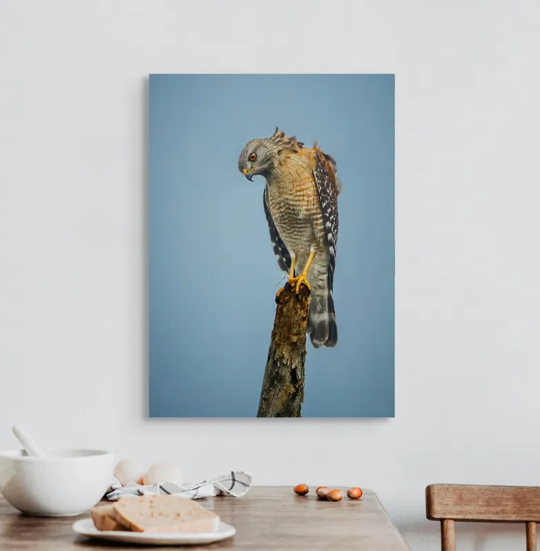 Tablou Canvas, "Pasărea de pradă solitară contemplă zarea", Pasăre, Prădător, Penaj, Cer, Vârf, Lemn, Gheare, Ochi, Observare, Natură, 50 x 70 cm – poza 3