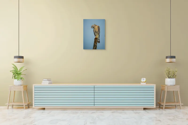 Tablou Canvas, "Pasărea de pradă solitară contemplă zarea", Pasăre, Prădător, Penaj, Cer, Vârf, Lemn, Gheare, Ochi, Observare, Natură, 50 x 70 cm – poza 6
