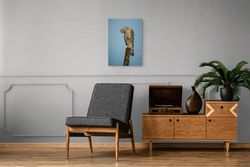 Tablou Canvas, "Pasărea de pradă solitară contemplă zarea", Pasăre, Prădător, Penaj, Cer, Vârf, Lemn, Gheare, Ochi, Observare, Natură, 50 x 70 cm – poza 8