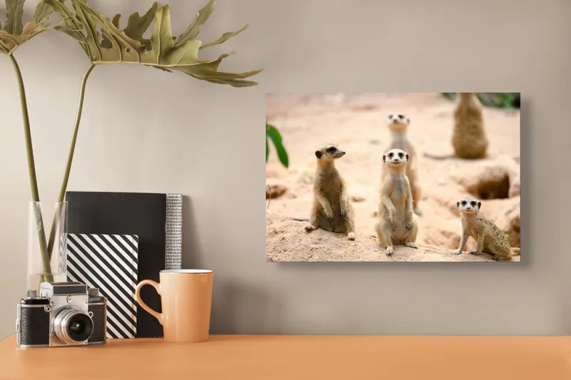 Tablou Canvas, "Familia suricatelor la soare", Suricate, Nisip, Curiozitate, Grup, Natura, Observare, Vegetatie, Priveghetori, 39 x 26 cm – poza 3