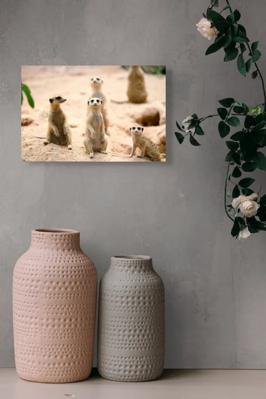Tablou Canvas, "Familia suricatelor la soare", Suricate, Nisip, Curiozitate, Grup, Natura, Observare, Vegetatie, Priveghetori, 39 x 26 cm – poza 4