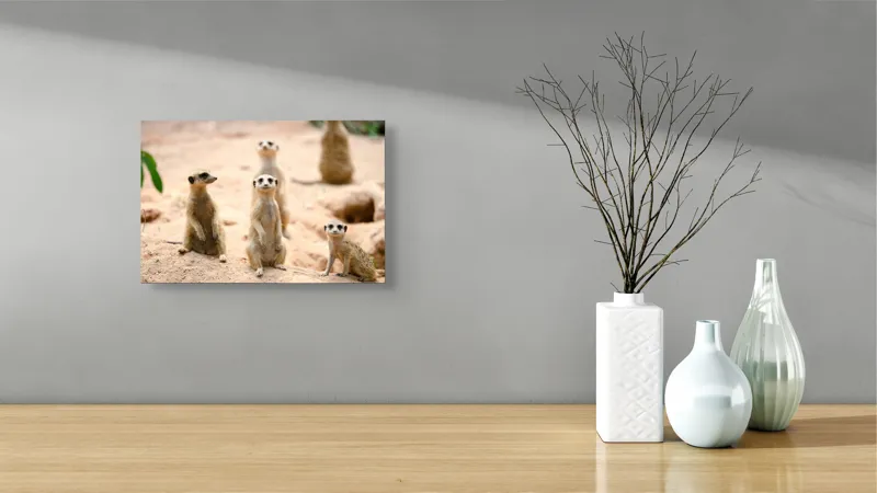 Tablou Canvas, "Familia suricatelor la soare", Suricate, Nisip, Curiozitate, Grup, Natura, Observare, Vegetatie, Priveghetori, 39 x 26 cm – poza 8