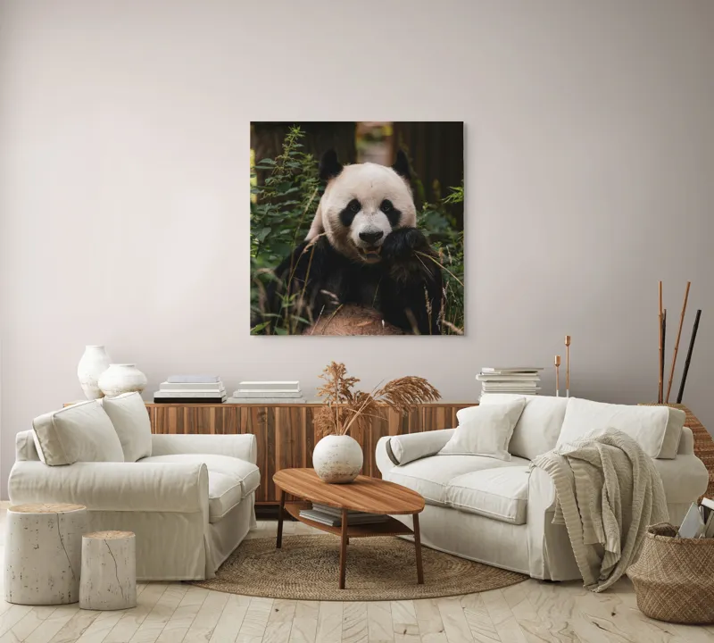 Tablou Canvas, "Panda în mijlocul naturii verzi", 100 x 100 cm – poza 3