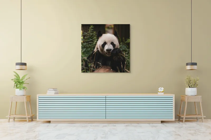 Tablou Canvas, "Panda în mijlocul naturii verzi", 100 x 100 cm – poza 5