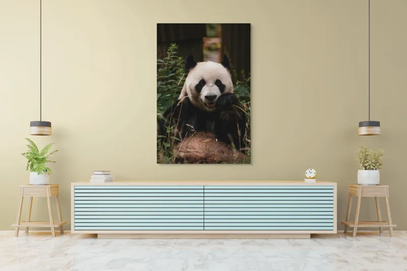 Tablou Canvas, "Panda în mijlocul naturii verzi", 100 x 150 cm – poza 4