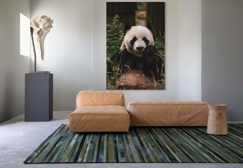Tablou Canvas, "Panda în mijlocul naturii verzi", 100 x 150 cm – poza 7