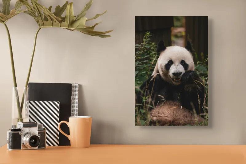 Tablou Canvas, "Panda în mijlocul naturii verzi", 26 x 39 cm – poza 3
