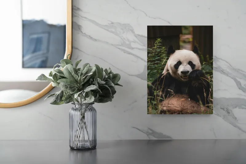 Tablou Canvas, "Panda în mijlocul naturii verzi", 26 x 39 cm – poza 4