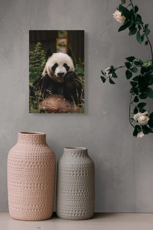 Tablou Canvas, "Panda în mijlocul naturii verzi", 26 x 39 cm – poza 6