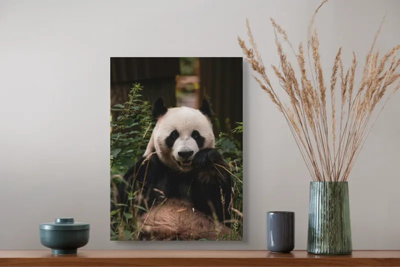 Tablou Canvas, "Panda în mijlocul naturii verzi", 39 x 54 cm – poza 3
