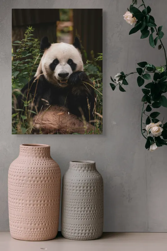 Tablou Canvas, "Panda în mijlocul naturii verzi", 39 x 54 cm – poza 6