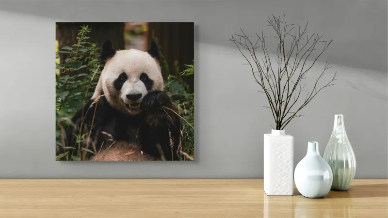 Tablou Canvas, "Panda în mijlocul naturii verzi", 50 x 50 cm – poza 3