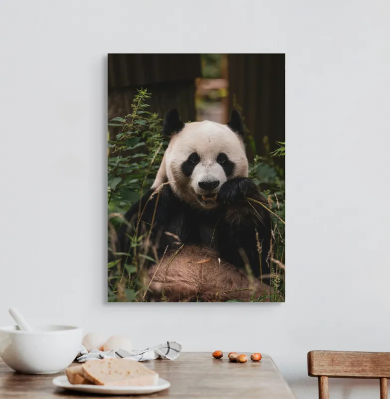 Tablou Canvas, "Panda în mijlocul naturii verzi", 50 x 70 cm – poza 3