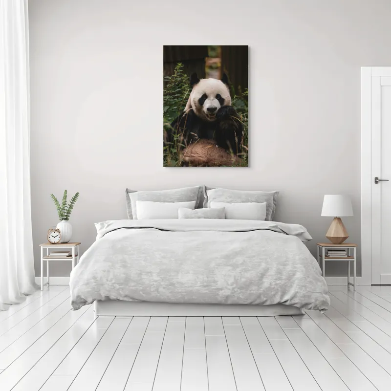 Tablou Canvas, "Panda în mijlocul naturii verzi", 70 x 100 cm – poza 3