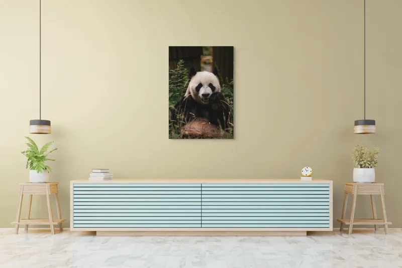 Tablou Canvas, "Panda în mijlocul naturii verzi", 70 x 100 cm – poza 5