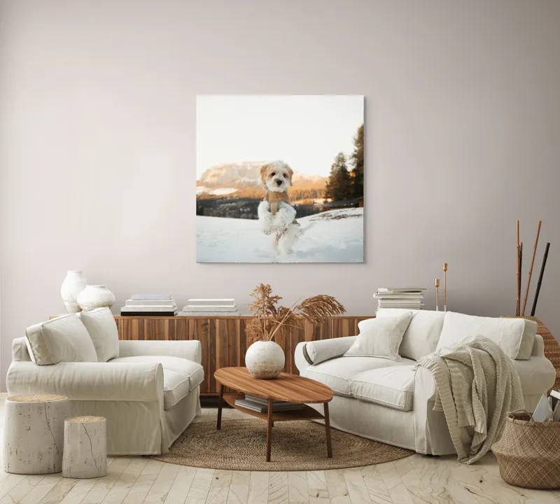 Tablou Canvas, "Cățel jucăuș în zăpadă alpină", 100 x 100 cm – poza 3