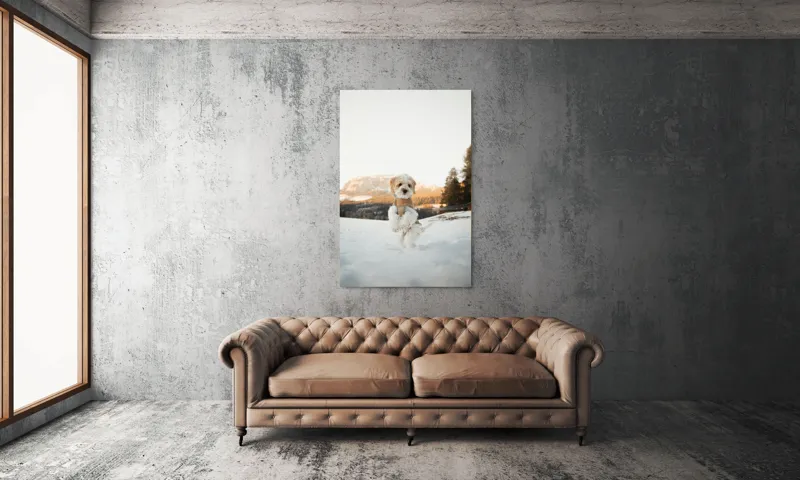 Tablou Canvas, "Cățel jucăuș în zăpadă alpină", 100 x 150 cm – poza 6
