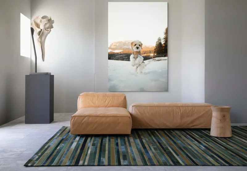 Tablou Canvas, "Cățel jucăuș în zăpadă alpină", 100 x 150 cm – poza 7