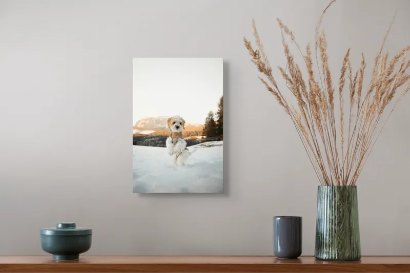 Tablou Canvas, "Cățel jucăuș în zăpadă alpină", 26 x 39 cm – poza 5