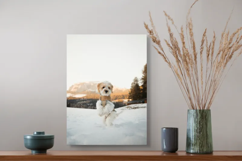 Tablou Canvas, "Cățel jucăuș în zăpadă alpină", 39 x 54 cm – poza 3