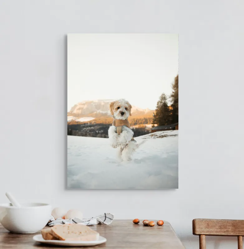 Tablou Canvas, "Cățel jucăuș în zăpadă alpină", 50 x 70 cm – poza 3