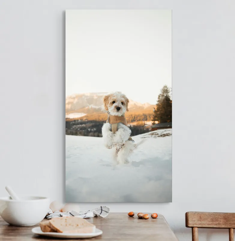 Tablou Canvas, "Cățel jucăuș în zăpadă alpină", 50 x 90 cm – poza 3