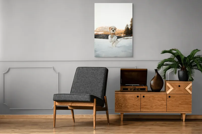 Tablou Canvas, "Cățel jucăuș în zăpadă alpină", 70 x 100 cm – poza 6