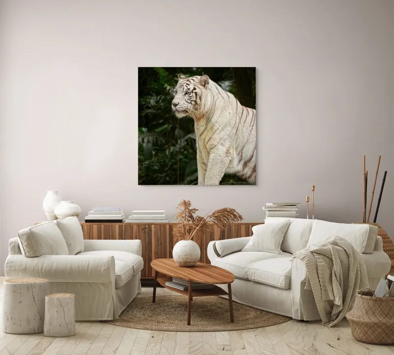 Tablou Canvas, "Tigru alb în pădurea tropicală", 100 x 100 cm – poza 3