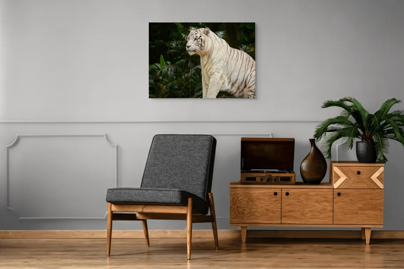 Tablou Canvas, "Tigru alb în pădurea tropicală", 100 x 70 cm – poza 8