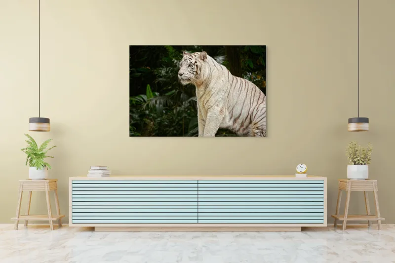 Tablou Canvas, "Tigru alb în pădurea tropicală", 150 x 100 cm – poza 6
