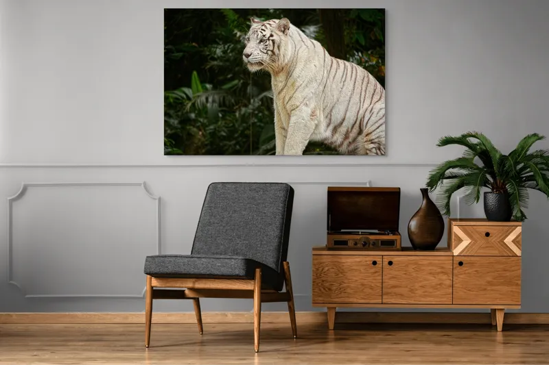 Tablou Canvas, "Tigru alb în pădurea tropicală", 150 x 100 cm – poza 8