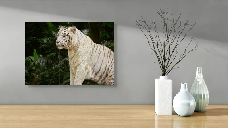 Tablou Canvas, "Tigru alb în pădurea tropicală", 54 x 39 cm – poza 3