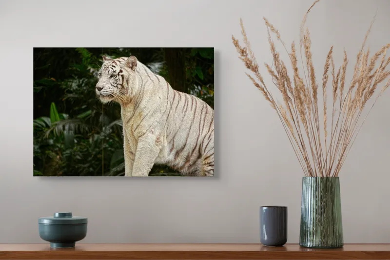Tablou Canvas, "Tigru alb în pădurea tropicală", 54 x 39 cm – poza 4