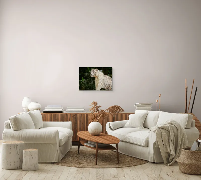 Tablou Canvas, "Tigru alb în pădurea tropicală", 54 x 39 cm – poza 5