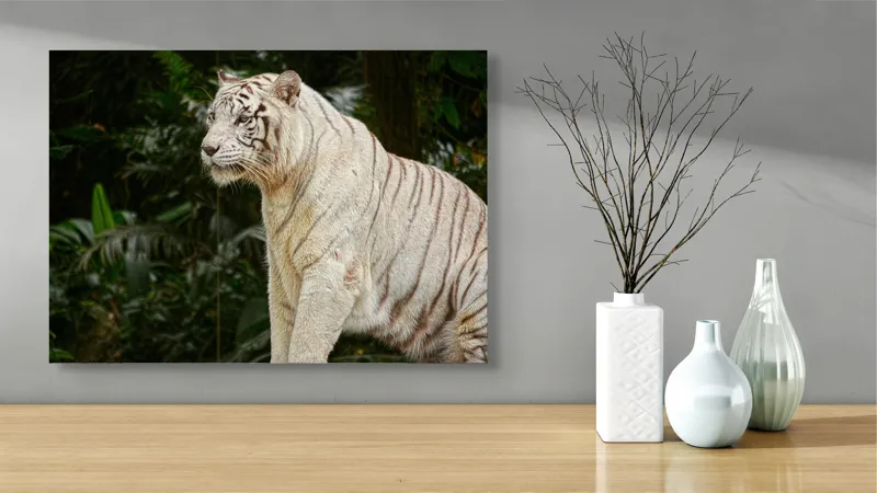 Tablou Canvas, "Tigru alb în pădurea tropicală", 70 x 50 cm – poza 3