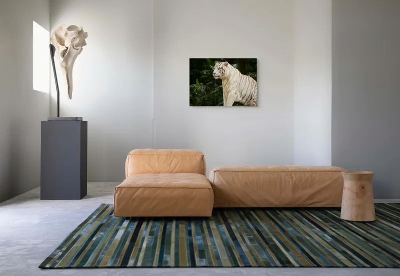 Tablou Canvas, "Tigru alb în pădurea tropicală", 70 x 50 cm – poza 8
