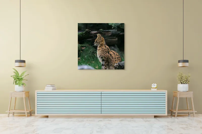 Tablou Canvas, "Serval printre ramuri de pădure", 100 x 100 cm – poza 5