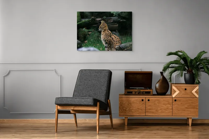 Tablou Canvas, "Serval printre ramuri de pădure", 100 x 70 cm – poza 8